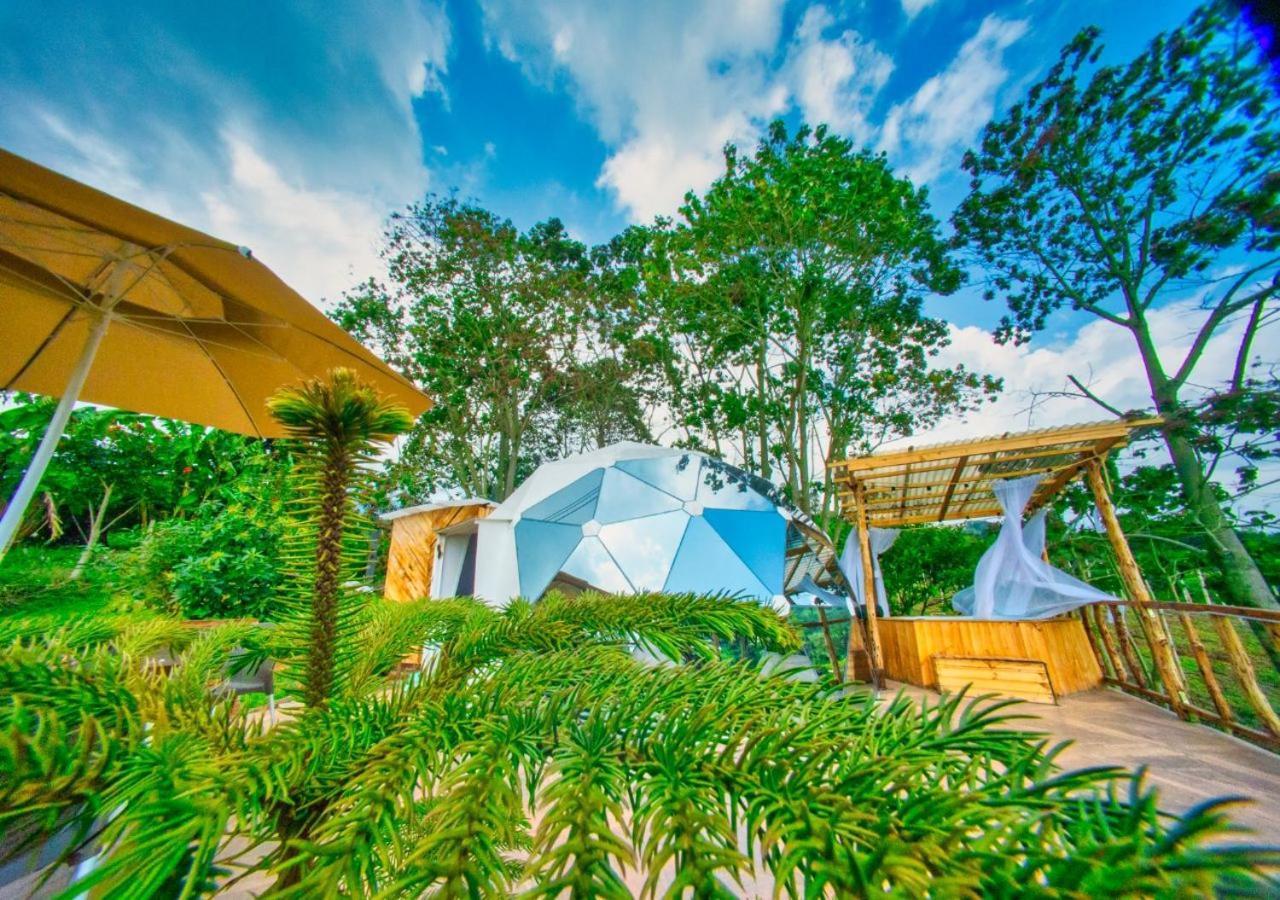 Wallaby Glamping Silvania Exterior foto